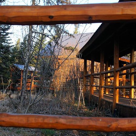 Wise Old Hunter Lodge Anchor Point Exterior photo