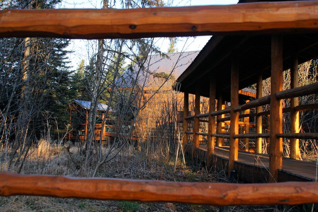 Wise Old Hunter Lodge Anchor Point Exterior photo