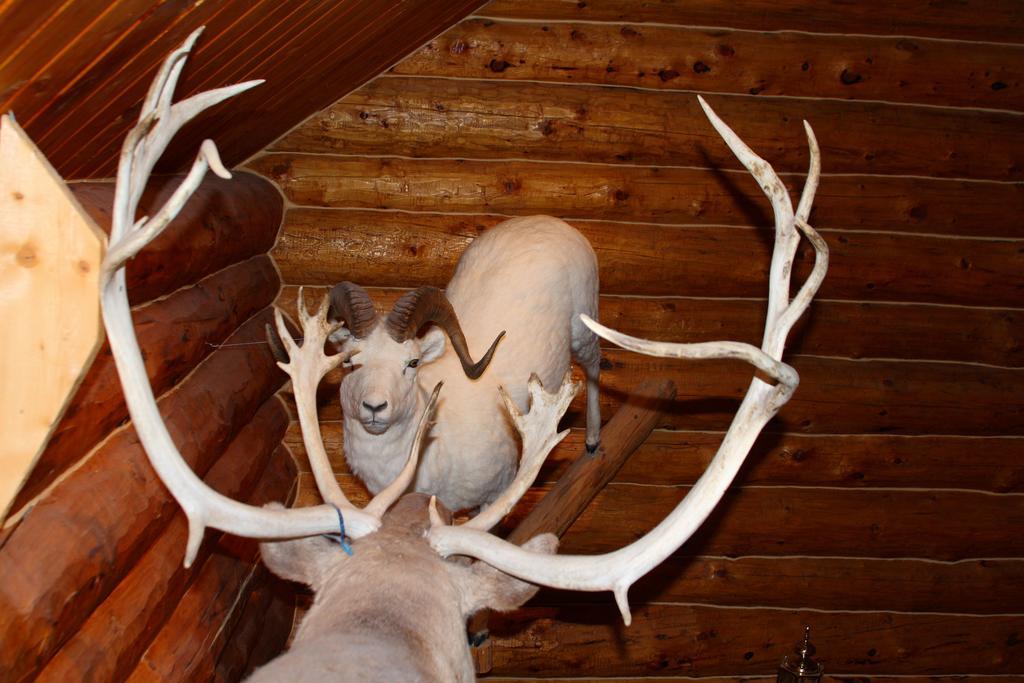 Wise Old Hunter Lodge Anchor Point Room photo