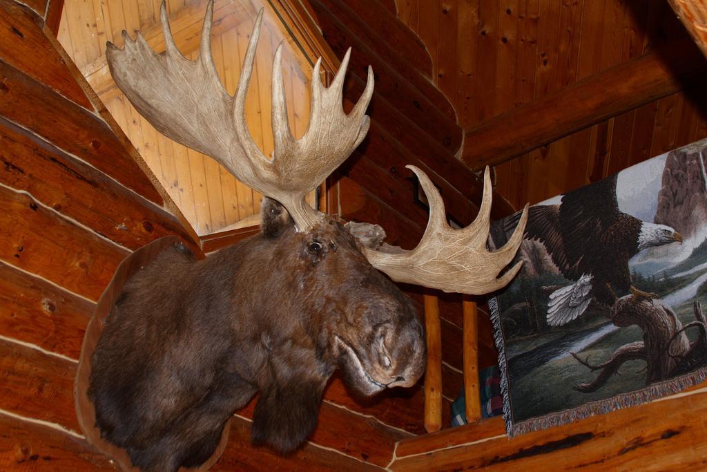 Wise Old Hunter Lodge Anchor Point Room photo